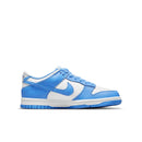 Nike Dunk Low UNC