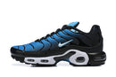 AIR VAPORMAX TN PREMIUM
