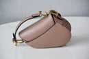 DIOR SADDLE BAG COLOR