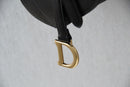 DIOR SADDLE BAG COLOR