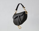 DIOR SADDLE BAG COLOR