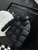 LOUIS VUITTON DOWN JACKET PREMIUM 1.1