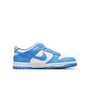Nike Dunk Low UNC