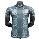 Barcelona 25/26 Special Edition Jersey - Gray - Player Version