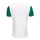 Palmeiras 25/26 II Away Jersey - Fan Version