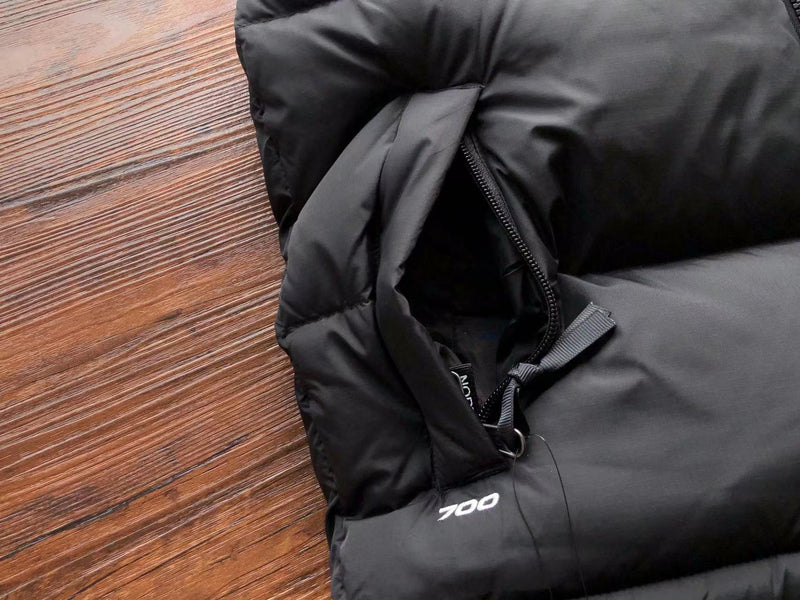 JAQUETA C THE NORTH FACE