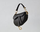DIOR SADDLE BAG COLOR