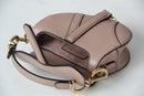 DIOR SADDLE BAG COLOR