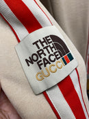 THE NORTH FACE PREMIUM 1.1