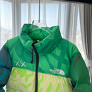 THE NORTH FACE JACKET XX KAWS PREMIUM 1.1