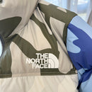 THE NORTH FACE JACKET XX KAWS PREMIUM 1.1
