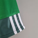 CAMISA PALMEIRAS RETRO 2009 CASE