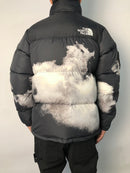 THE NORTH FACE JACKET 1.1 PREMIUM