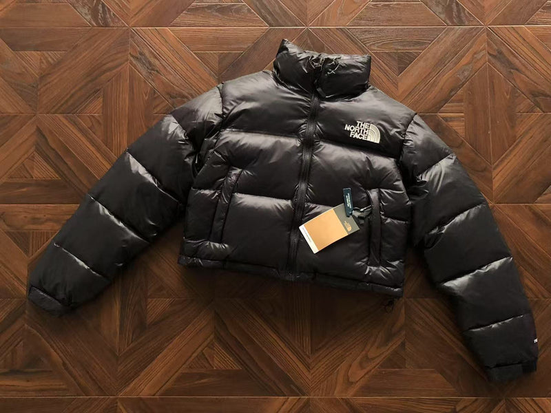 THE NORTH FACE JACKET FEMALE 1.1 PREMIUM