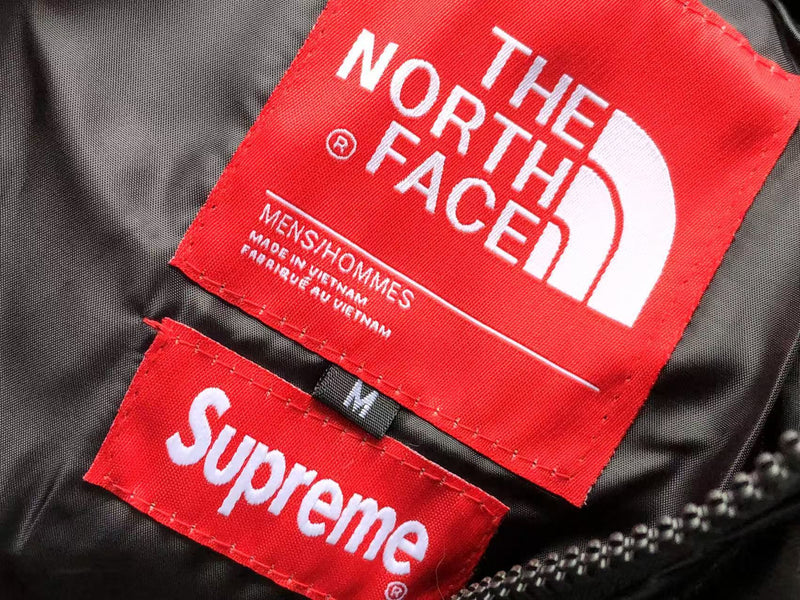 THE NORTH FACE JACKET 1.1 PREMIUM