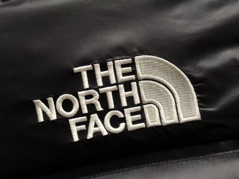 THE NORTH FACE JACKET FEMALE 1.1 PREMIUM