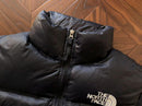THE NORTH FACE JACKET FEMALE 1.1 PREMIUM