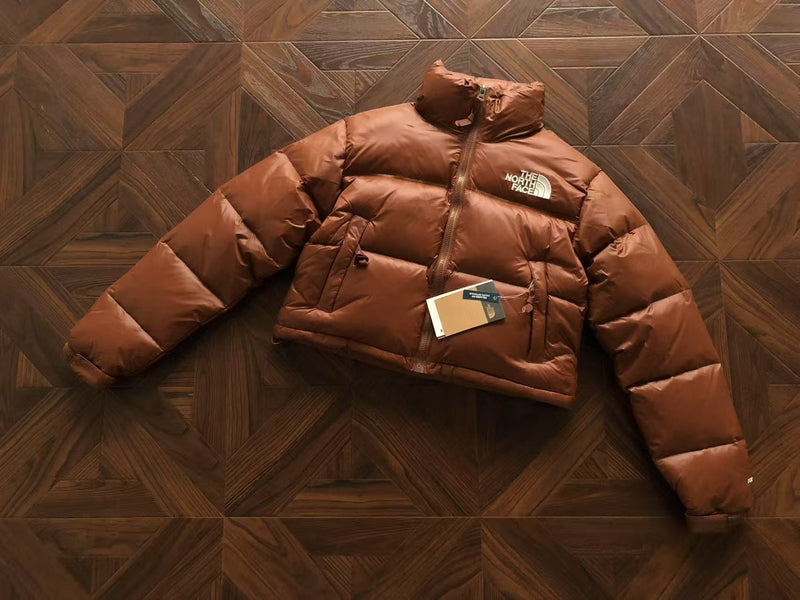 THE NORTH FACE JACKET FEMALE 1.1 PREMIUM