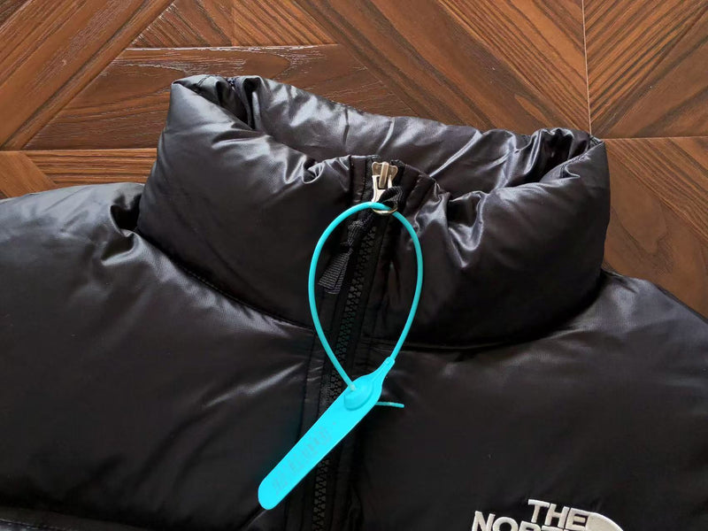 THE NORTH FACE JACKET  FEMALE 1.1 PREMIUM