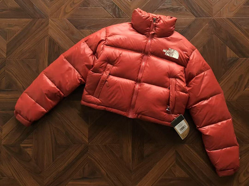 THE NORTH FACE JACKET FEMALE 1.1 PREMIUM