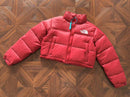 THE NORTH FACE JACKET  FEMALE 1.1 PREMIUM