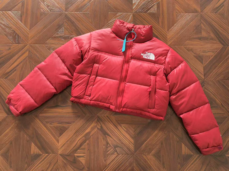 THE NORTH FACE JACKET  FEMALE 1.1 PREMIUM