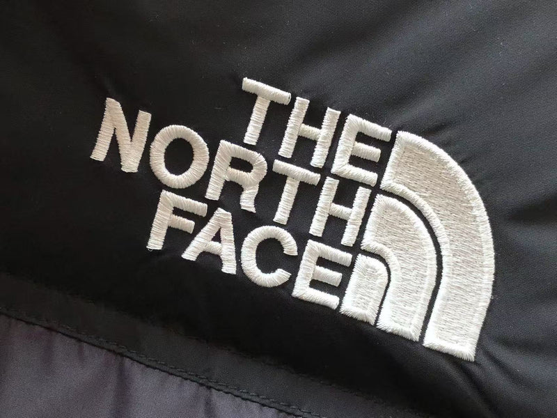 THE NORTH FACE JACKET 1.1 PREMIUM