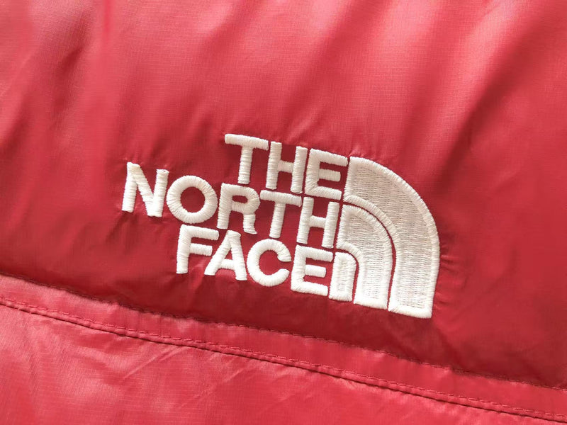 THE NORTH FACE JACKET  FEMALE 1.1 PREMIUM