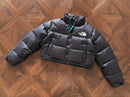 THE NORTH FACE JACKET  FEMALE 1.1 PREMIUM