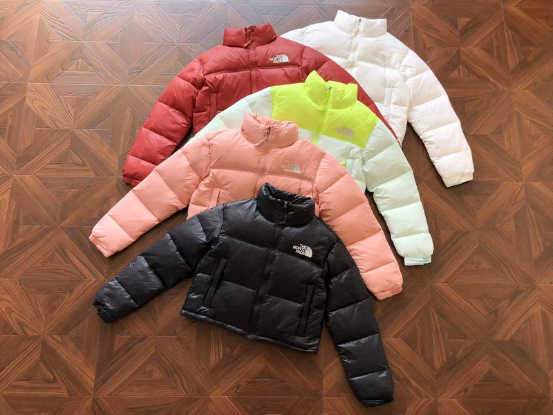 THE NORTH FACE JACKET FEMALE 1.1 PREMIUM