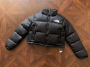 THE NORTH FACE JACKET FEMALE 1.1 PREMIUM
