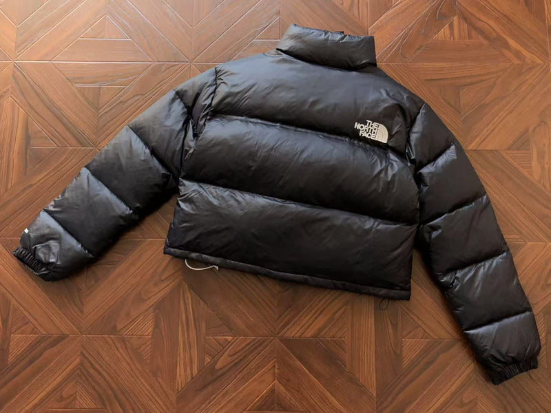 THE NORTH FACE JACKET FEMALE 1.1 PREMIUM