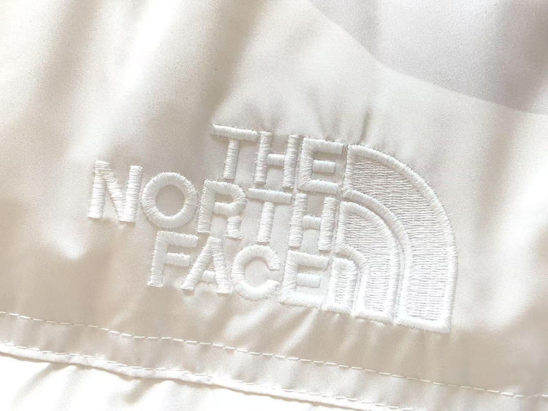 THE NORTH FACE JACKET  1.1 PREMIUM