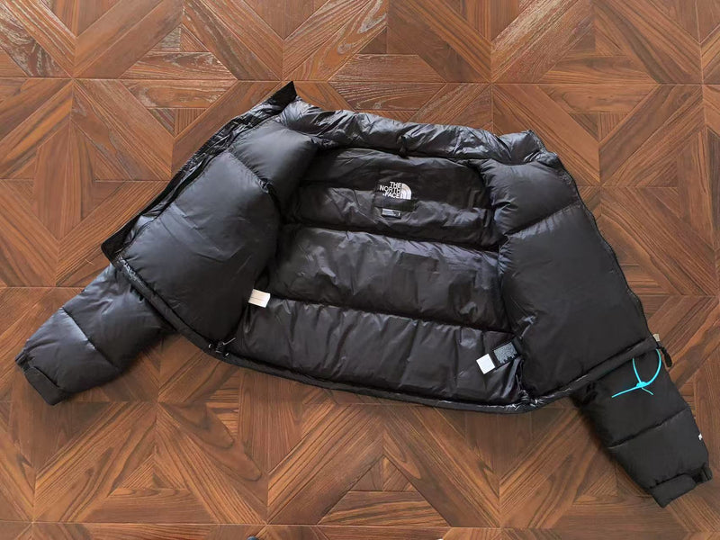 THE NORTH FACE JACKET  FEMALE 1.1 PREMIUM