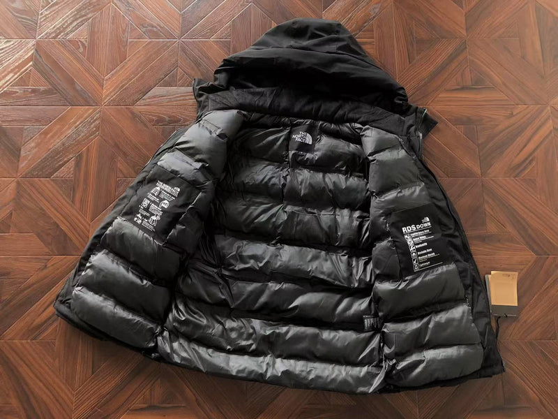 THE NORTH FACE JACKET  1.1 PREMIUM