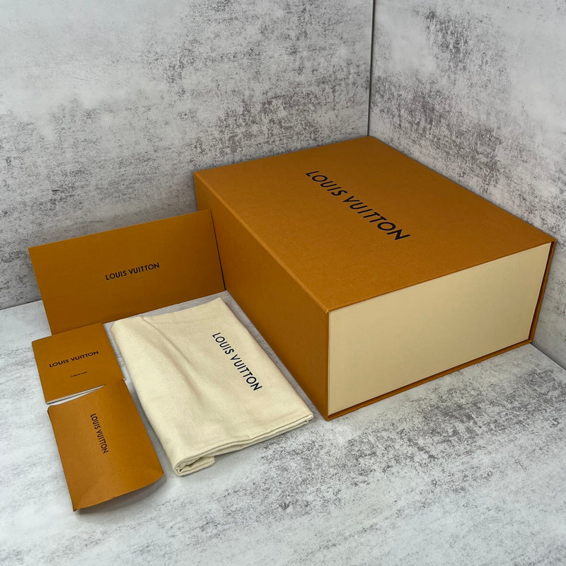 Louis Vuitton LV Skate Sneaker