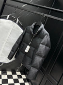 DIOR DOWN JACKET PREMIUM 1.1
