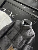LOUIS VUITTON DOWN JACKET PREMIUM 1.1