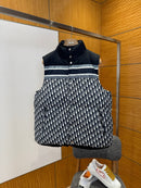 DIOR DOWN JACKET PREMIUM 1.1